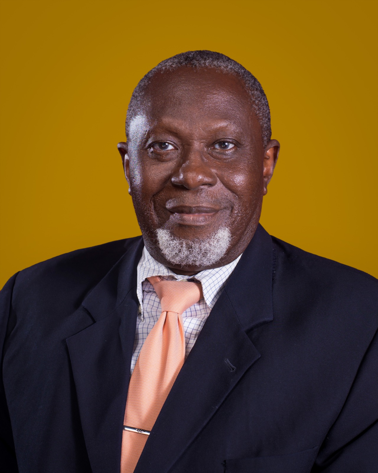 Dr. Adewale Adeoye